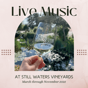 Still Waters Vineyards - Live music with the Gipsy Allstars