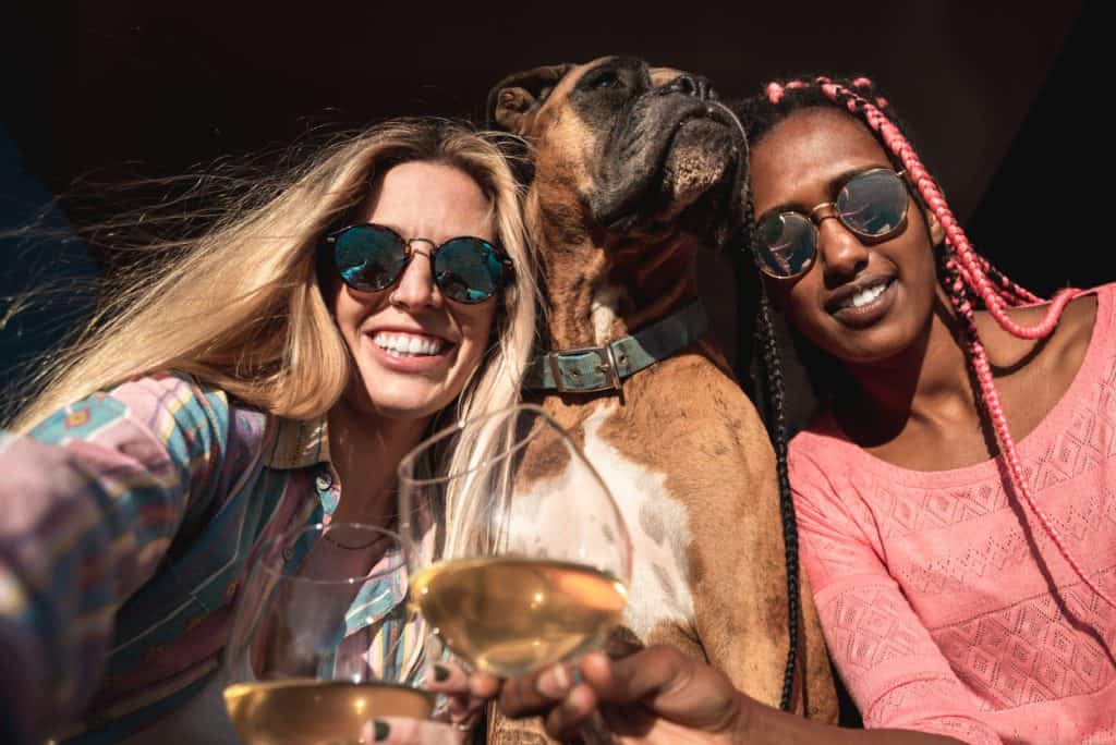 Wag More at these 5 Dog Friendly Paso Wineries Paso Robles Wineries