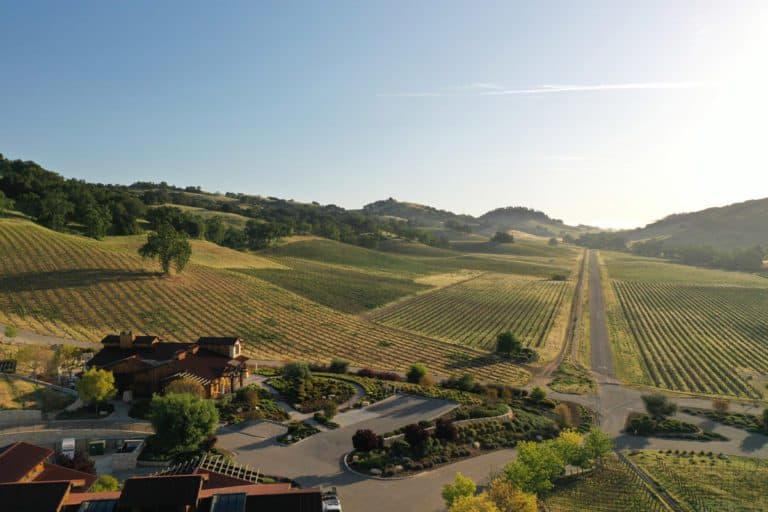 Halter Ranch vineyard view