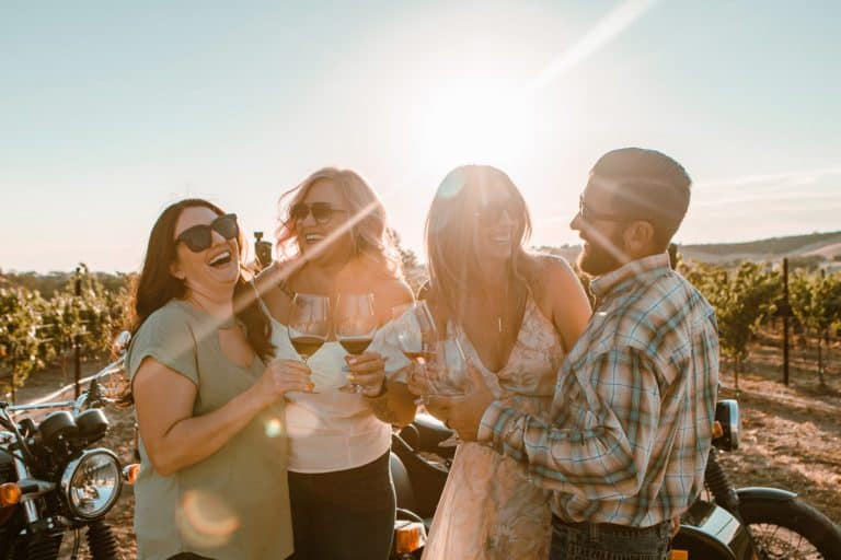 Third Wheel Tours toast in vineyard