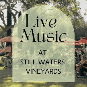 Natalie Haskins at Still Waters Vineyards