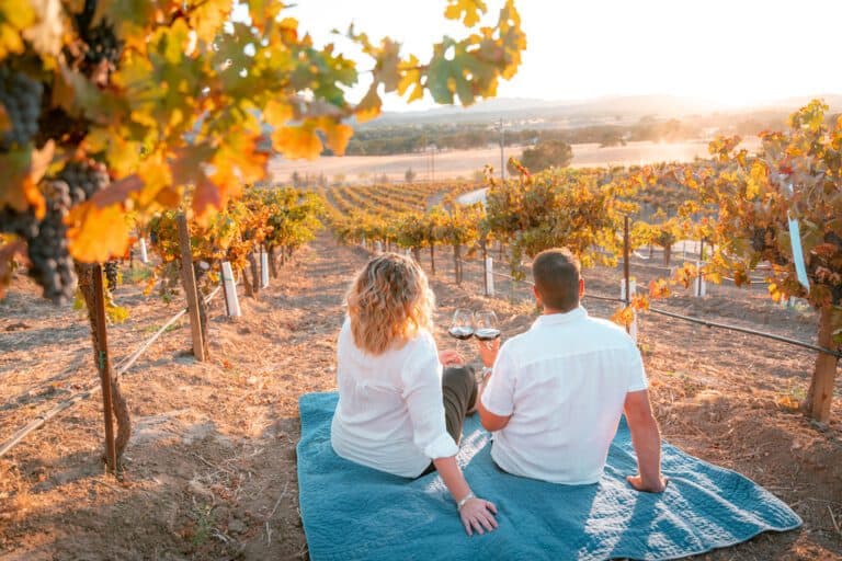 Stay on the Vineyard - Vineyard Picnic