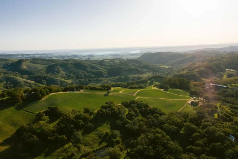 Epoch Estate Wines - York Mountain Vineyard