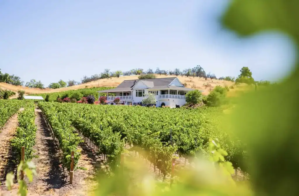 Parrish Family Vineyard Views 2