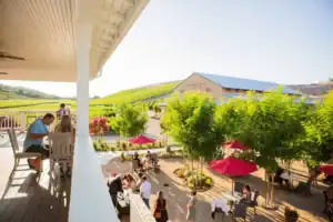 Parrish Family Vineyard Views