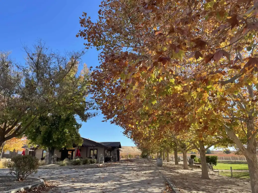 Riverstar Tasting Room