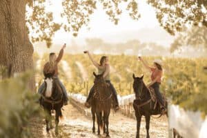 Cass Winery Geneseo Paso Robles