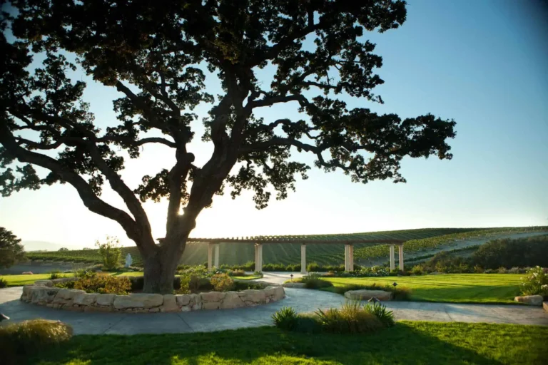 Villa San Juliette Tree