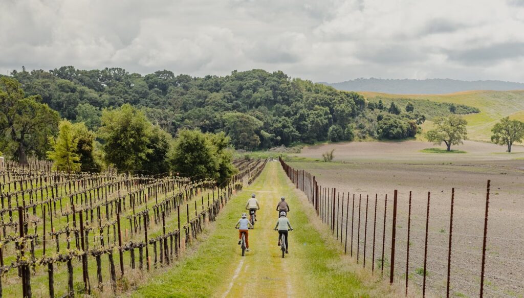 castoro cellars ebike tour