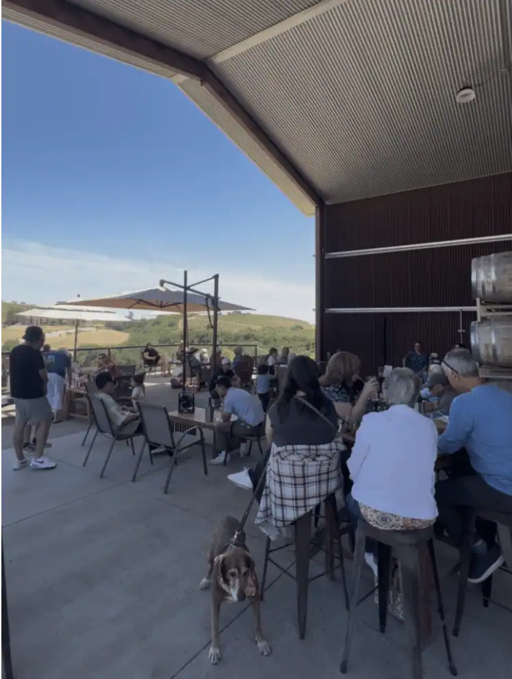 Live Music On The Terrace