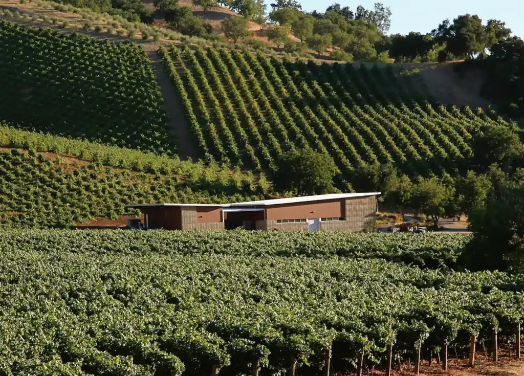 Kukkula Winery