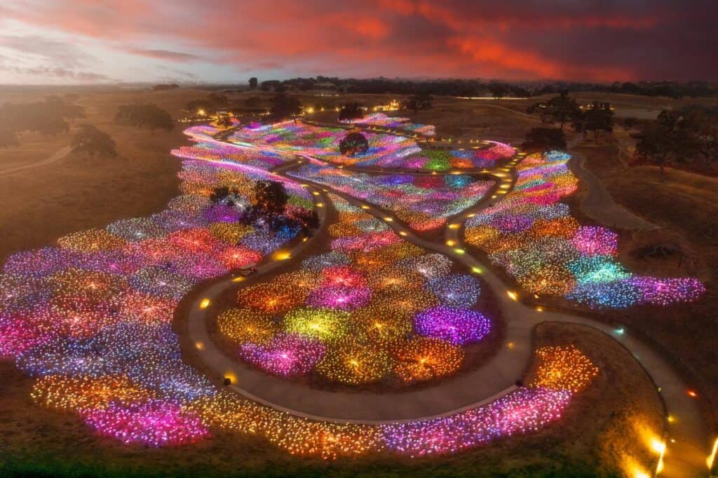 Harvest Winemaker Dinner at Sensorio