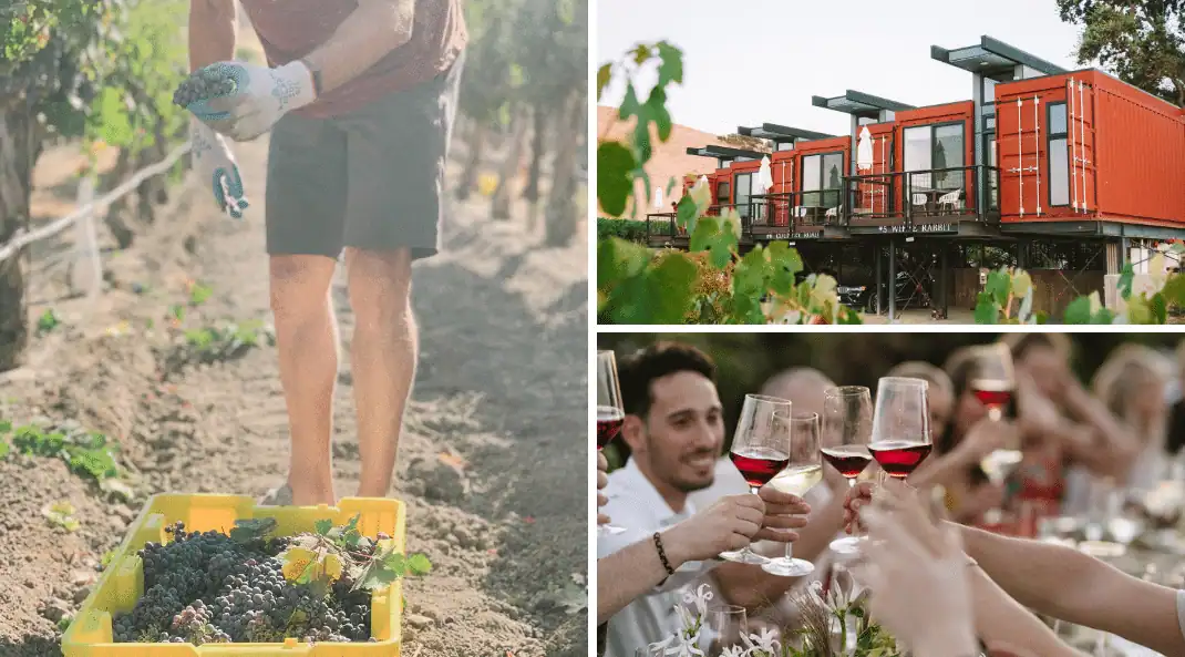 A WINEMAKER’S DUDE RANCH | Grape Harvest Retreat