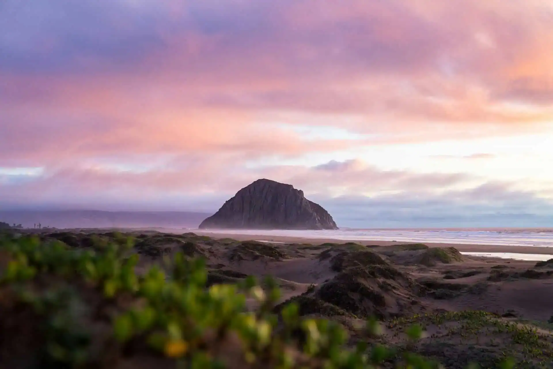 48 Hours in Paso Robles: A Coastal-Influenced Wine Tasting