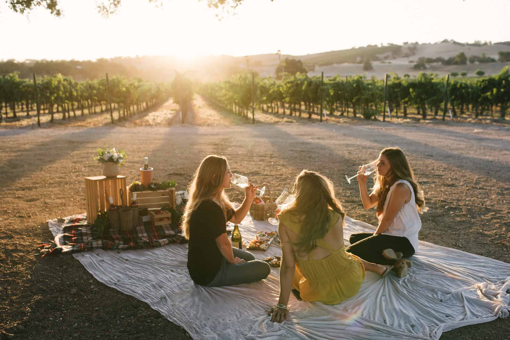 Must Visit East Side Paso Wineries to Visit