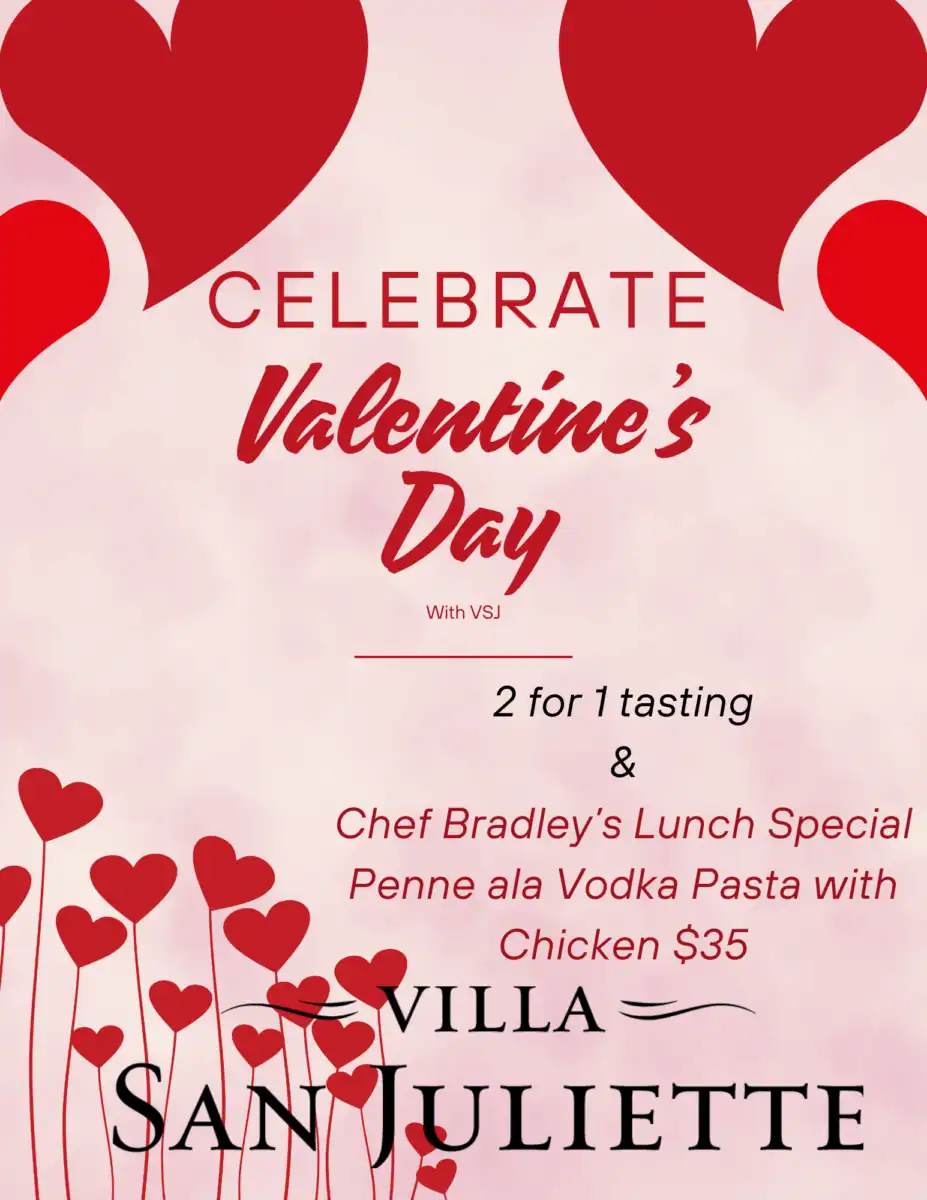Celebrate Valentine’s Day with VSJ