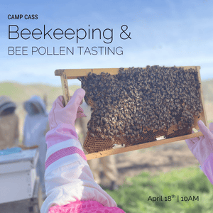 Camp CASS Beekeeping: Bee Pollen Tasting & Hive Tour