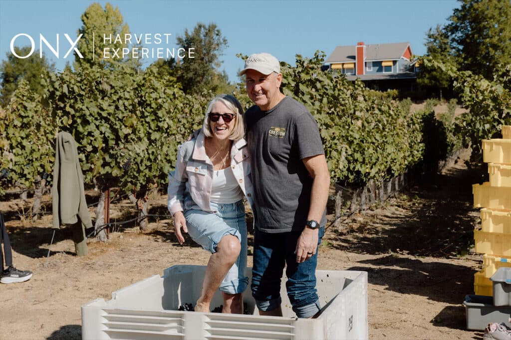 Harvest Experience at the Vineyard!