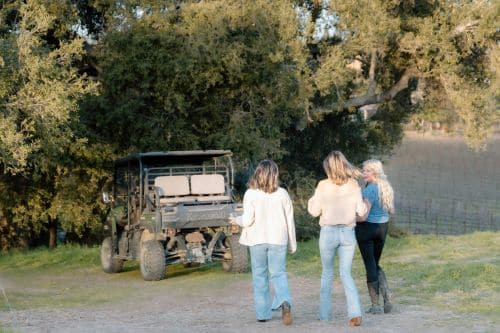 Off-Road Vehicle Vineyard Tour & Tasting!