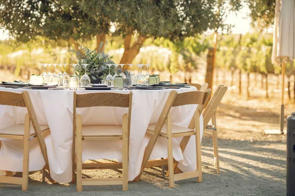 Dine in the Vines Winemaker Dinner