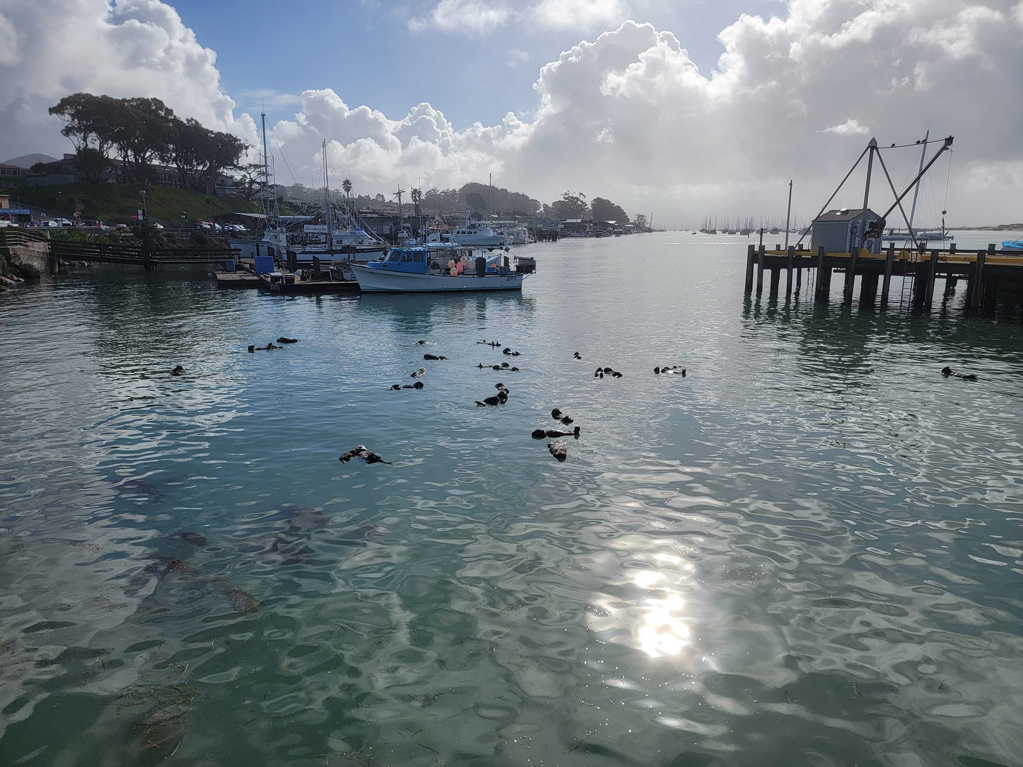 Wine Tasting Cruise – New Wines – Sun 9/27