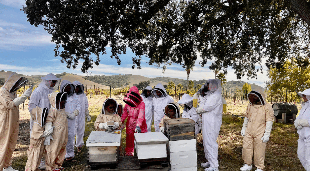 Camp CASS: Lavender & Wellness with Hambly Farms