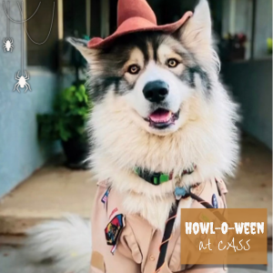 Howl-O-Ween at CASS