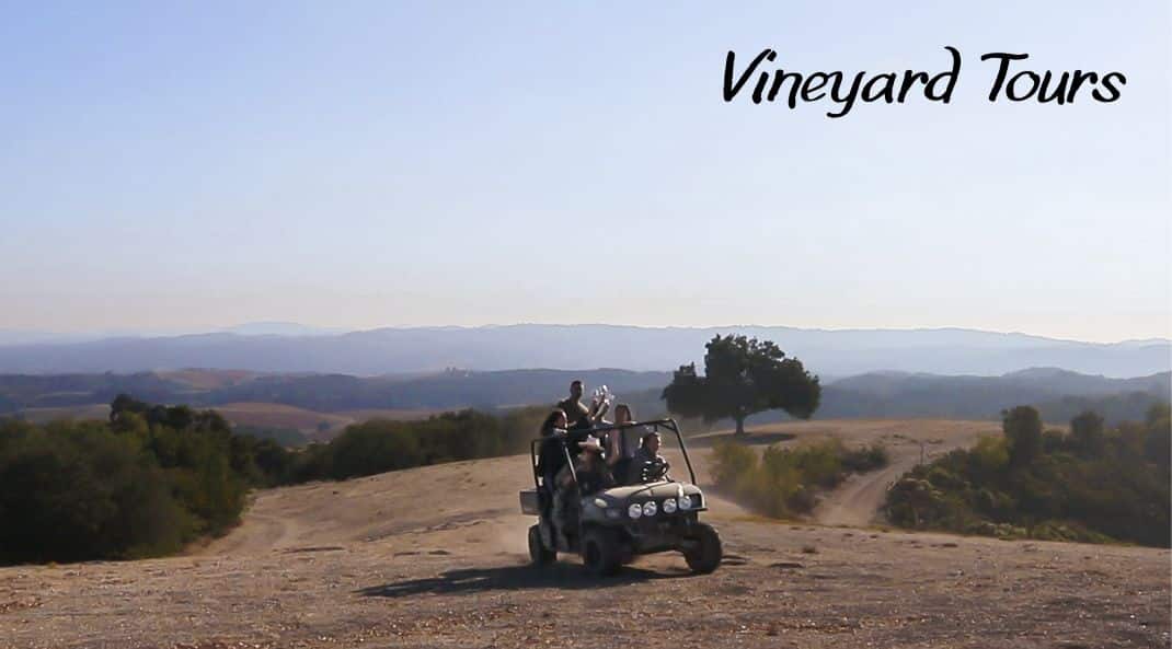 Vineyard Tours