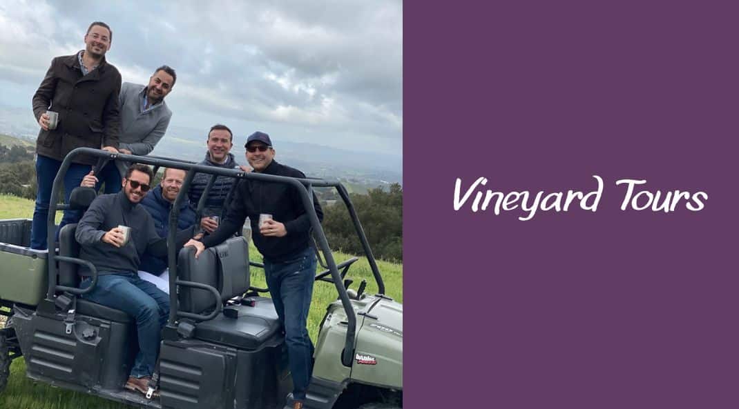 Vineyard Tours