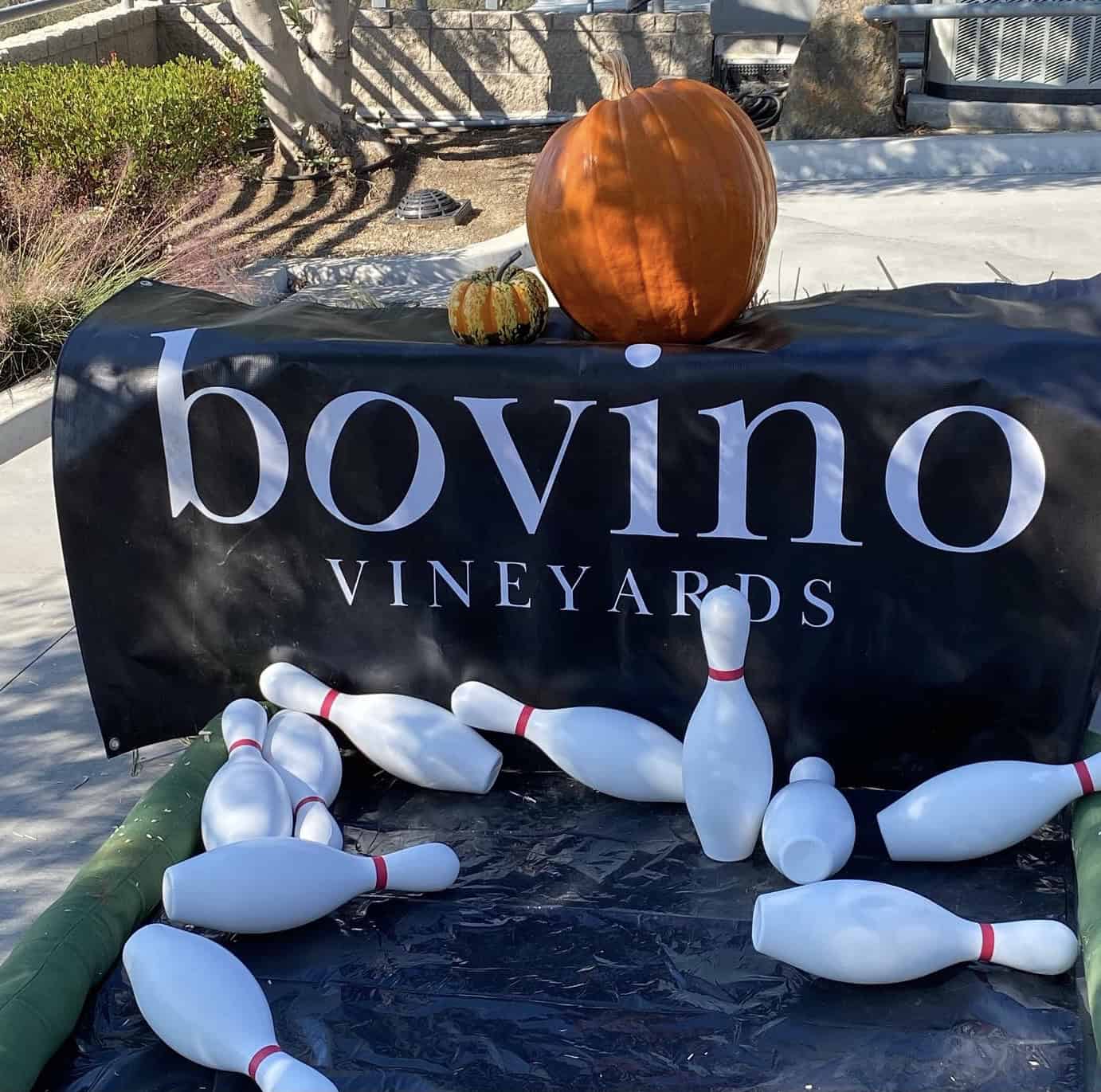 4th Annual Pumpkin Bowling @ Bovino Vineyards